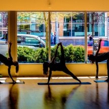 Yoga_Web_Ready